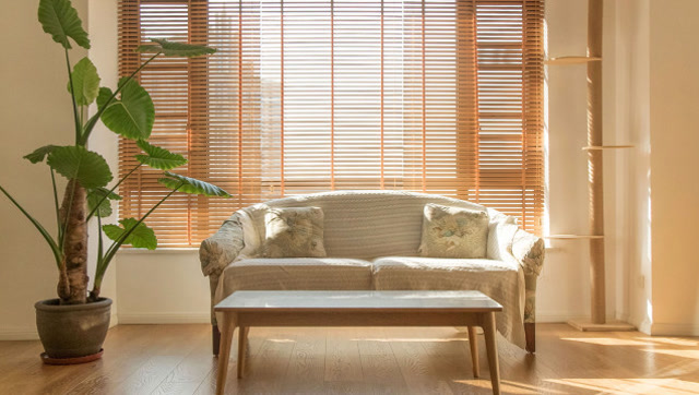 Vertical Blinds